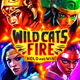 Bocoran RTP Slot Bng Wild Cats Fire